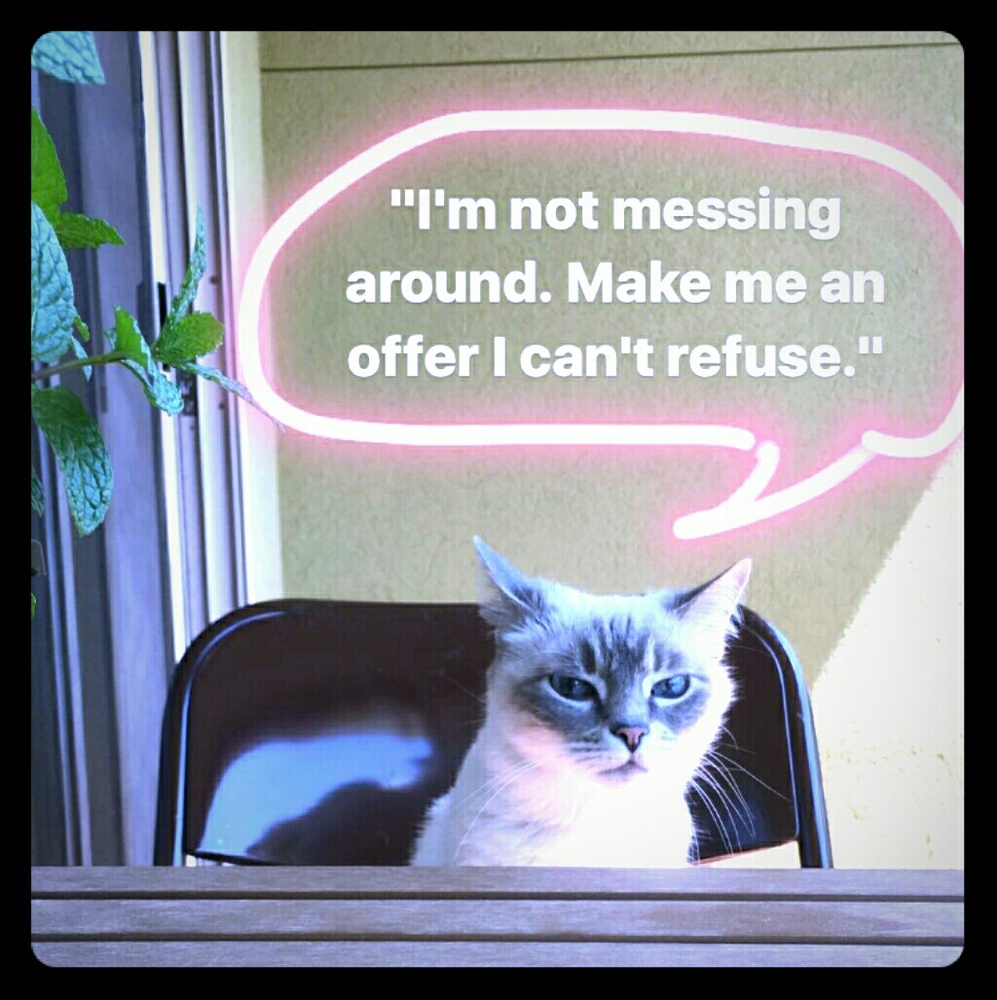 OFFER!